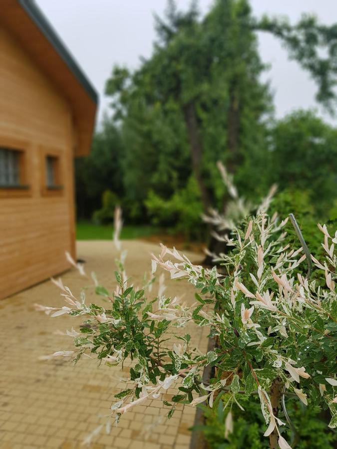 فيلا Kosiedlisko Kraśnik المظهر الخارجي الصورة